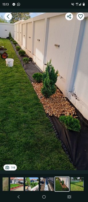 Motocultor 14 cai  frezare pregătire gazon