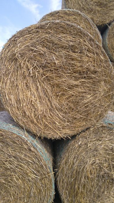 Vând baloți de paie 120x120