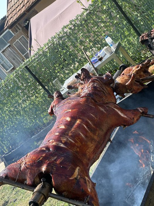 Porc la protap + meniu complet de nunta