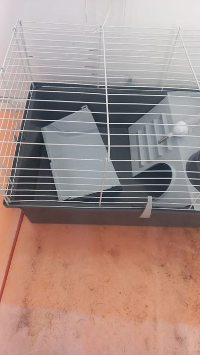 Продам клетку для кролика дикаротивнова