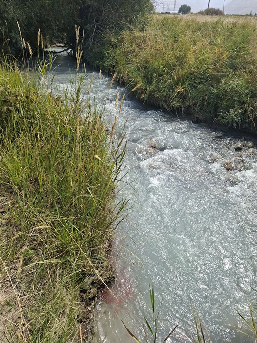 Фазенда 55 соток