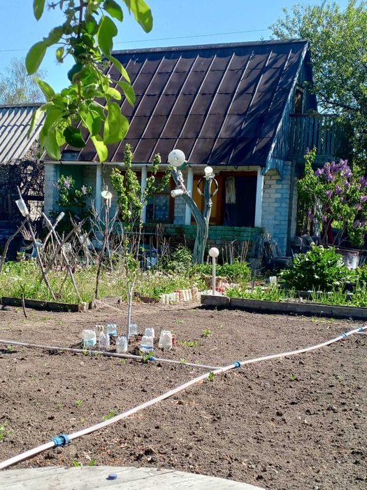 Продам дачу сад мелиаратор
