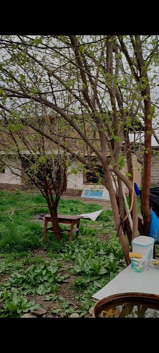 uy sotiladi manzll yuqori chirchiq tumani bardankul bolta 10 sotix er