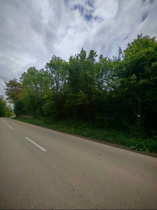 Teren de vânzare Drajna de sus