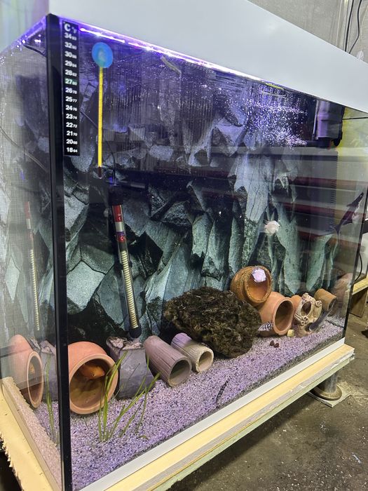 Akvarium Sotiladi 180 litr Ideal