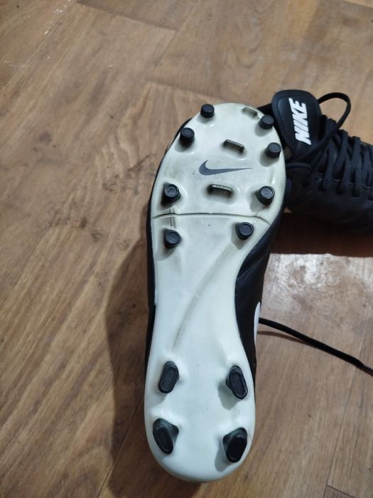 Стоножки и калеври