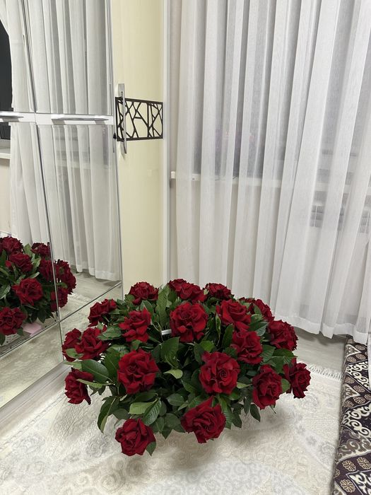 Продам цветы свежие