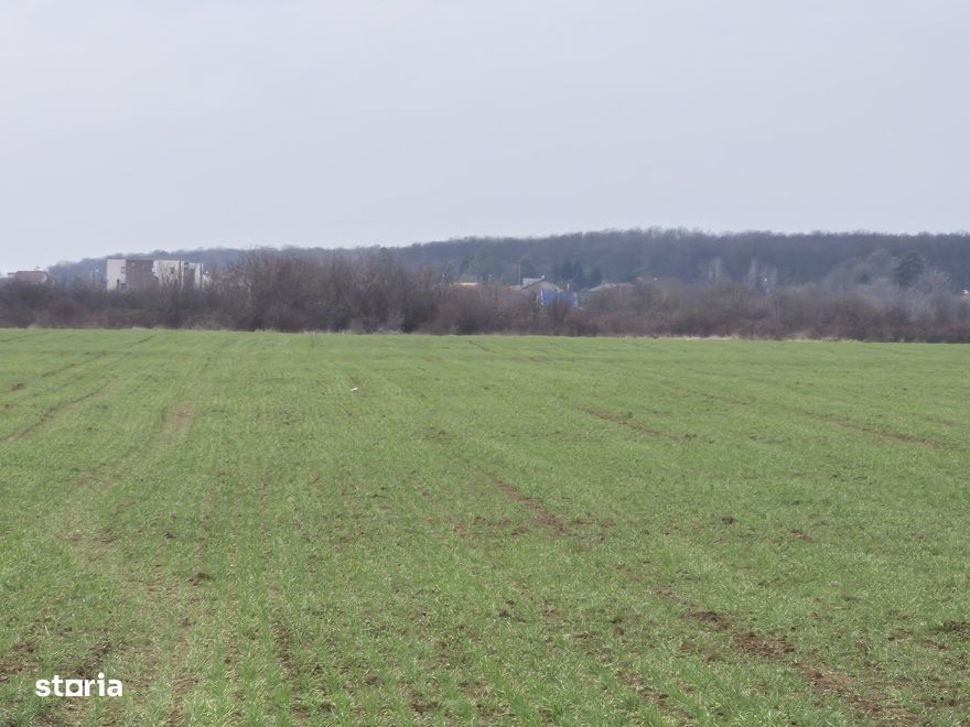 Teren intravilan ieftin Balotesti, 1100 mp, 25000 euro