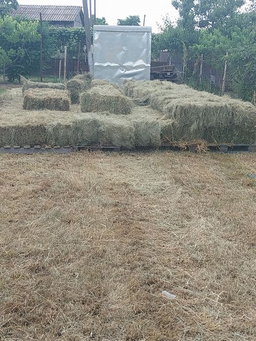Vând baloti de fân de grădină