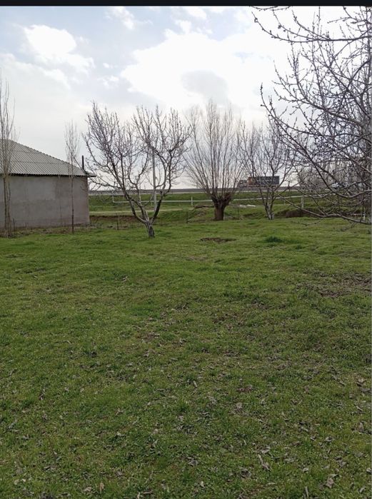 15 sotik yer sotladi, yonida maktab bor, hamma sharoit bor.