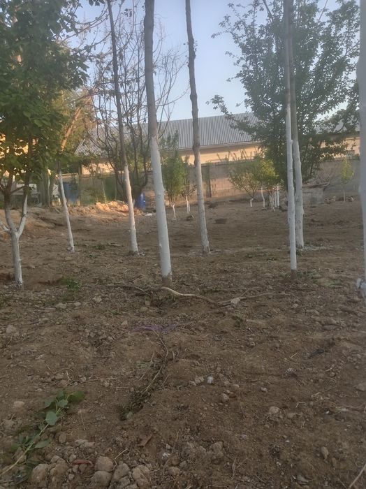 Ер сотилади ТОШМИ постдан 11 км