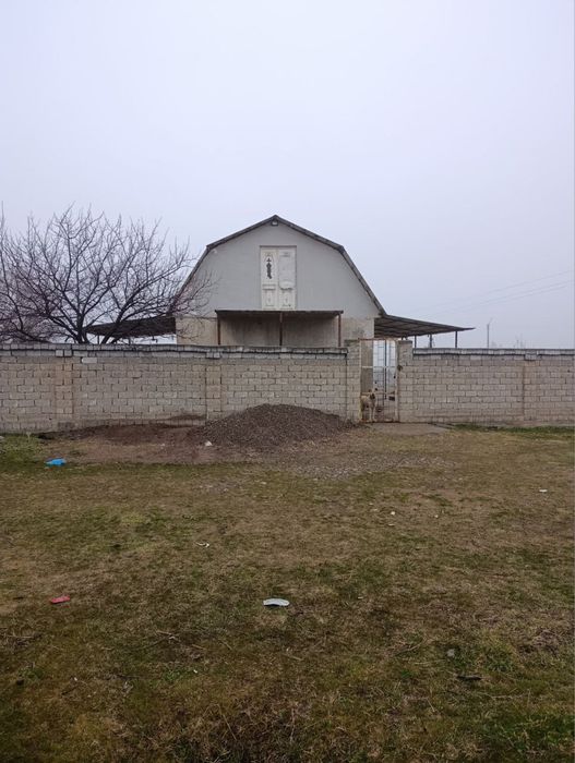 дача в Ташкентской области