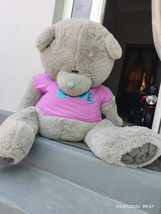 Katta ayiq teddy bear