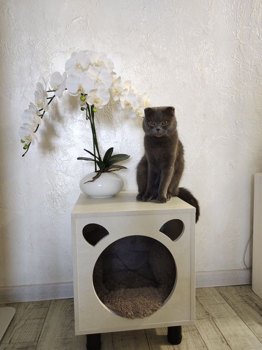 Продам тумбу-домик для кошки