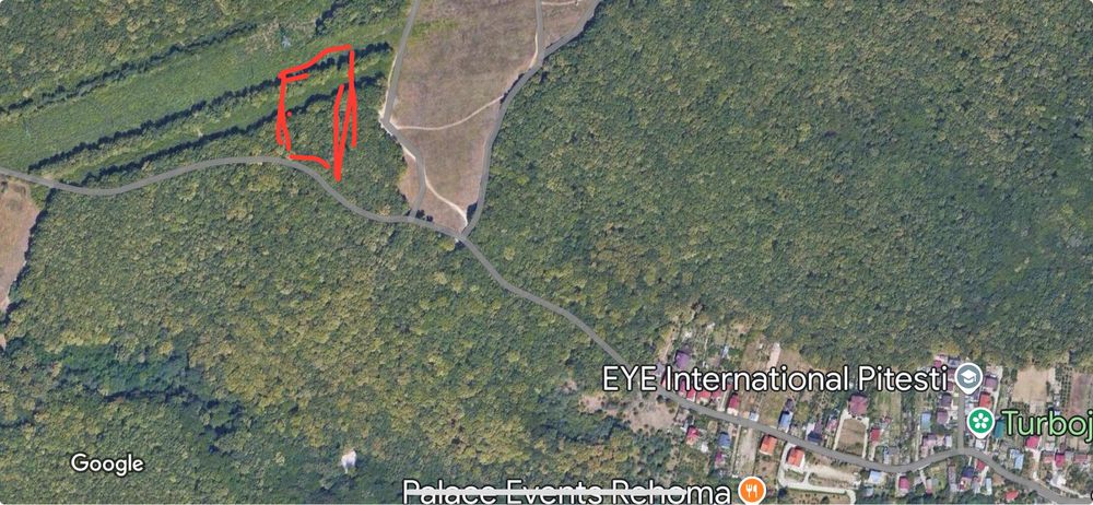 1919 mp teren extravilan -pădure- Găvana Pitești