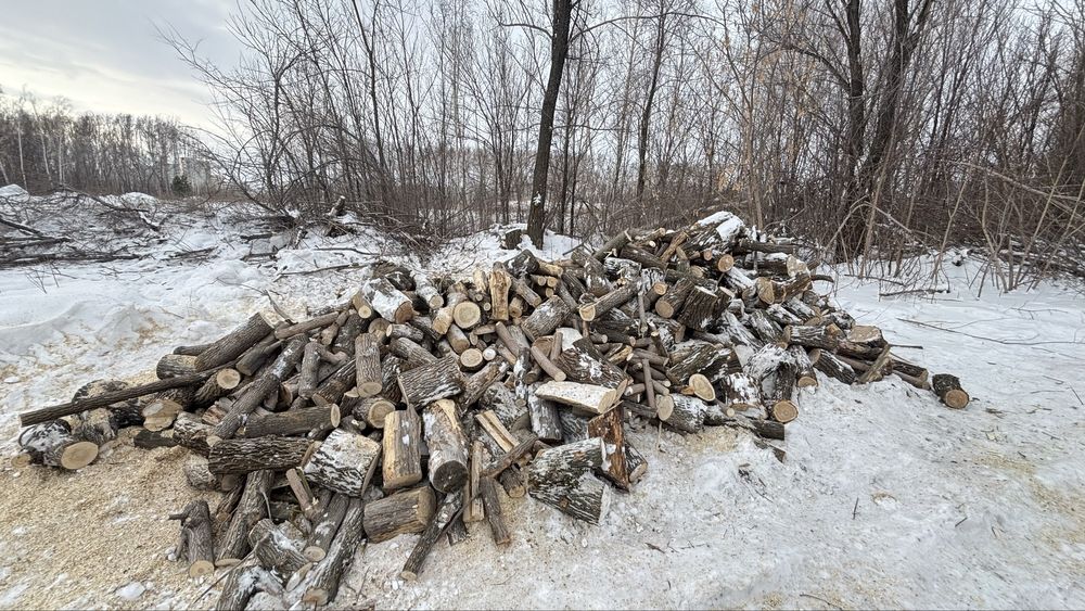 продам дрова