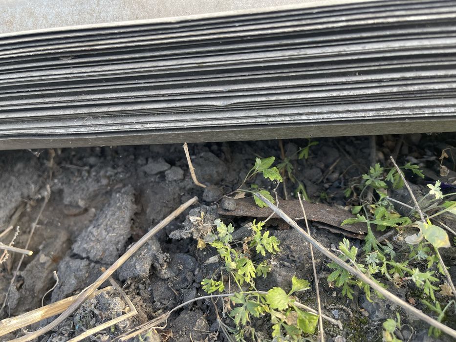 Продам профлист с21