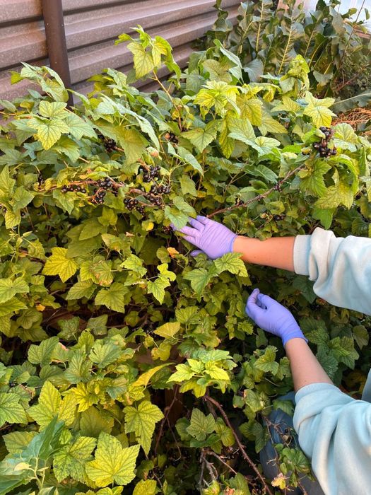 Продам коттедж в Талапкере