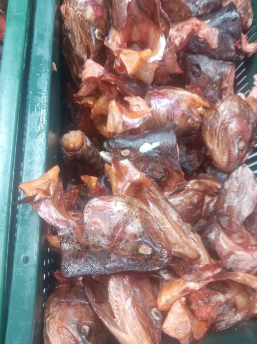 Копенные головы фарели рыба