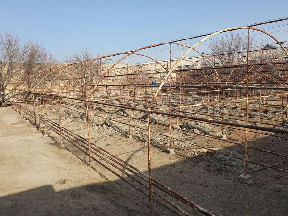 Teplisa sotila. 8 sotiq