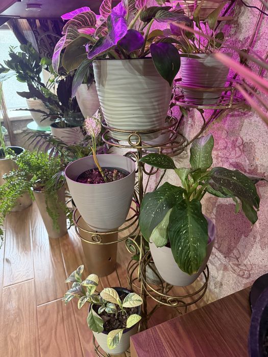 Подставка для цветов