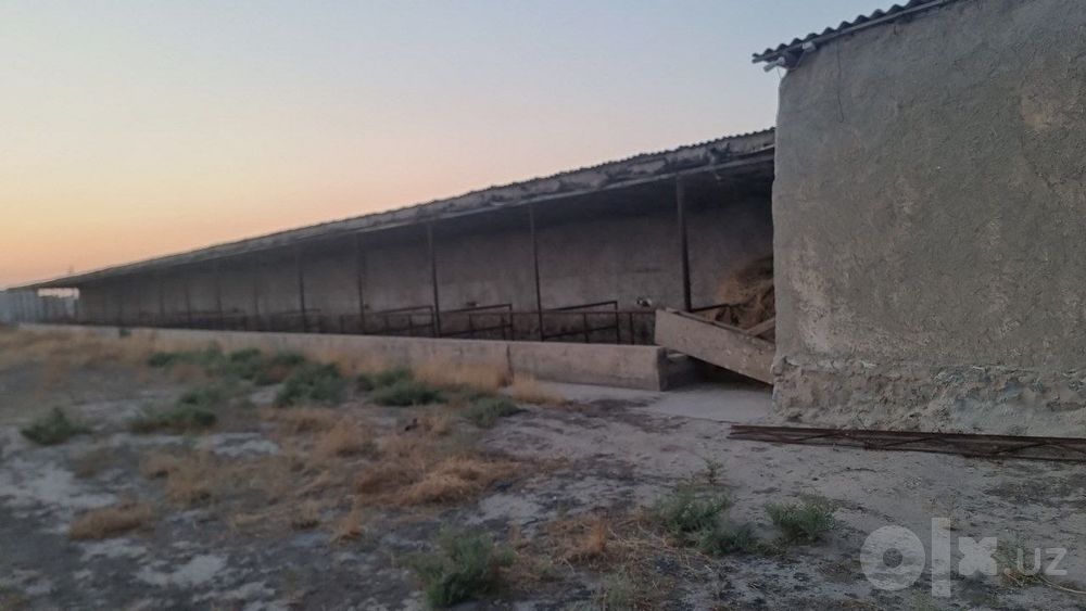 Navoiy shahri Tinchlik shaharchasidan2.65gektarjoyibormolxona sotiladi