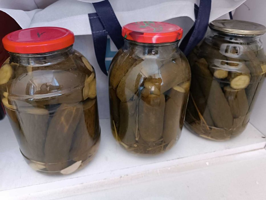 Солённые огурцы домашние