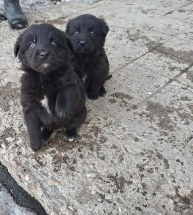 В самые добрые ручки