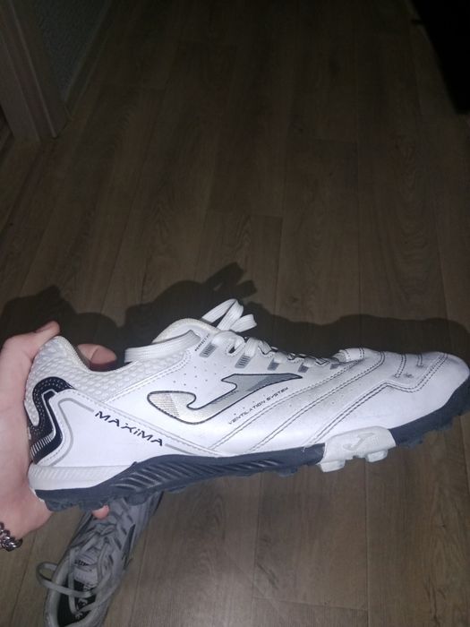 Сороконожки  новые