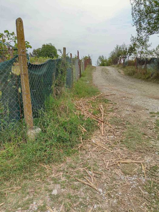 Продава се Къща в Търговище, Вилна зона - 1300 кв.м за 9 €/кв.м - Снимка #4