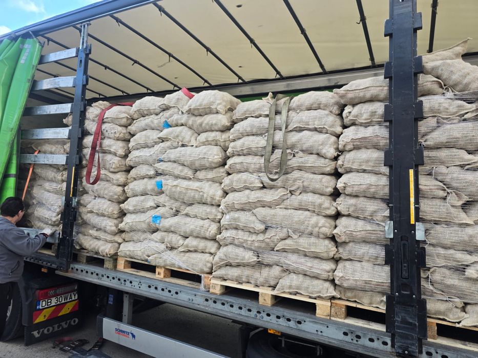 Vand Cartofi de Samanta - Galben si Rosu - CLASA A