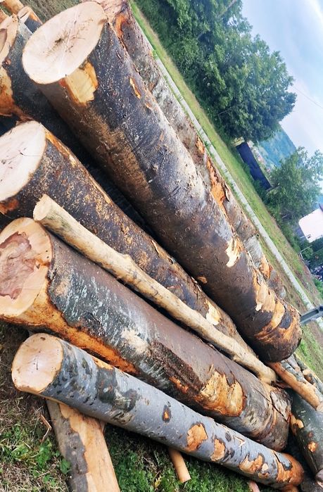 Lemn foc fag Transport