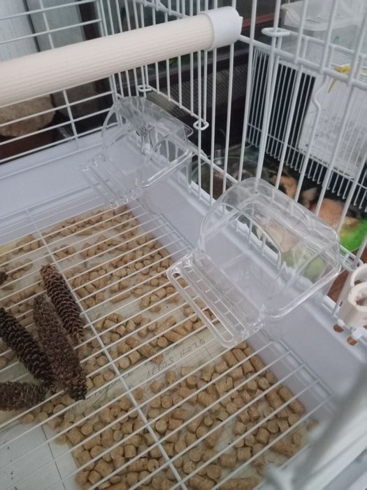 Клетка для декоративных птиц.