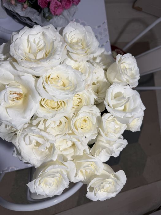 Продам цветы разные виды