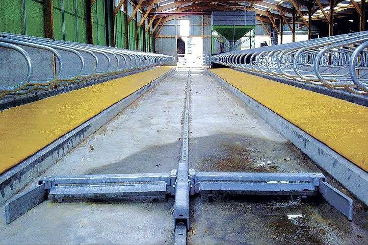 цепной Скрепер для удаление навозов