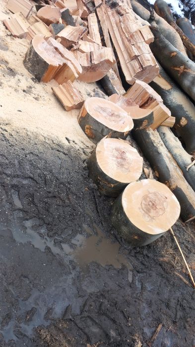 Vând Lemne de foc fag crepatura detali și comenzi la tel.