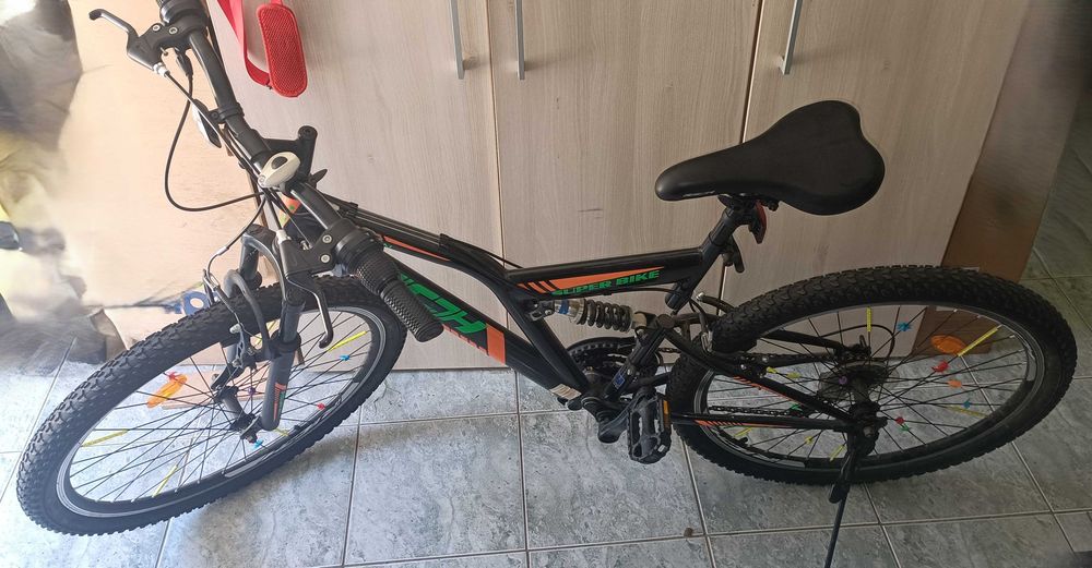 Vand bicicleta RICOH Alpin