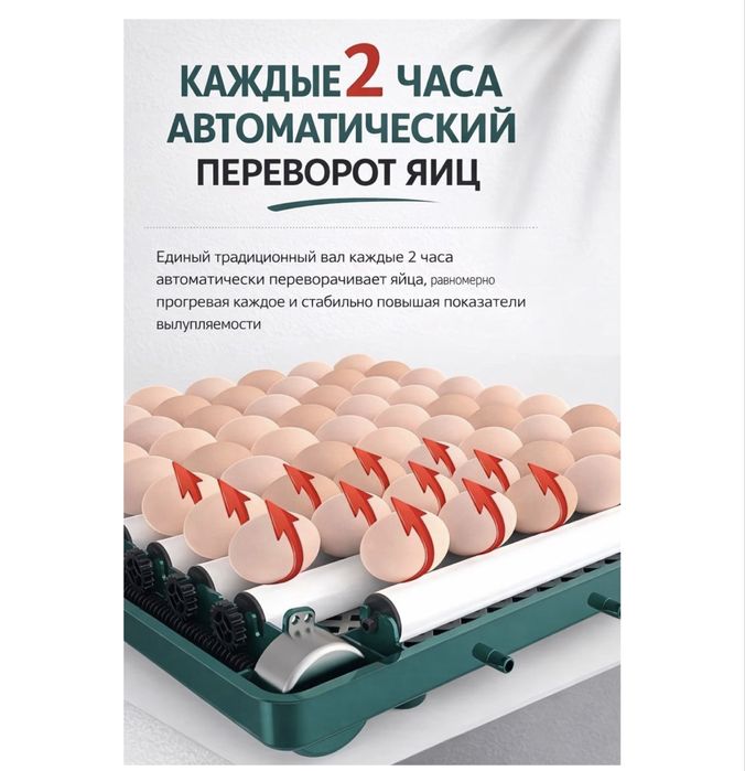 Новый инкубатор на 98