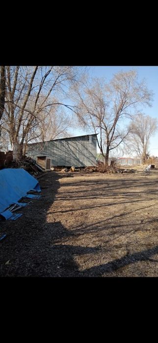 уй сатамын Сактан аулында