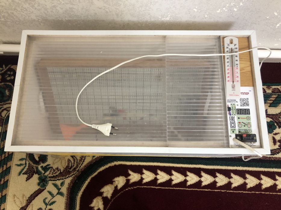 Инкубатор норма лупер 72