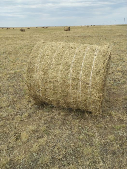 Продам сено в рулонах!Z 562