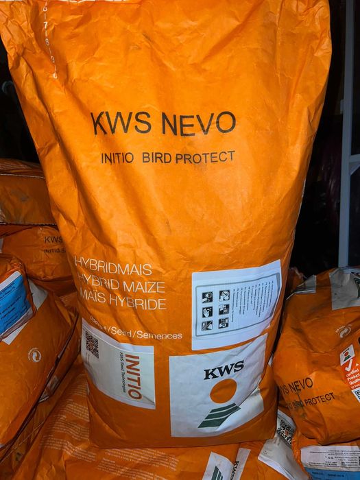 Seminte porumb KWS Nevo Initio Bird Protect