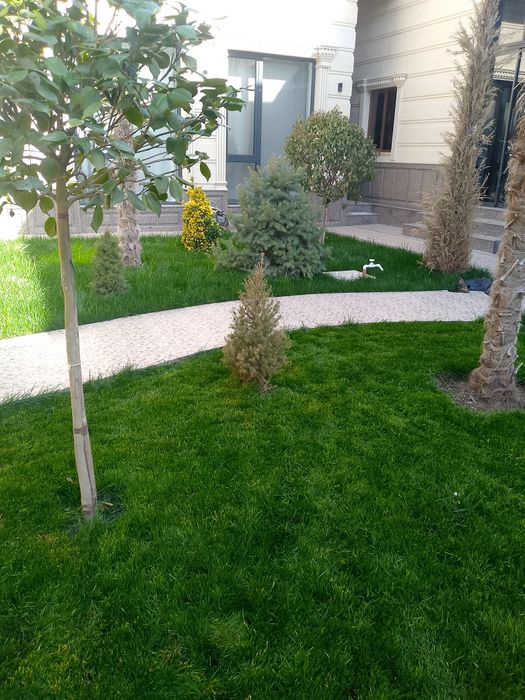 Gazon xizmati kelishilg xolda arzon