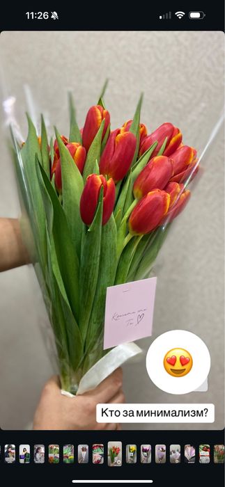 Продажа тюльпанов