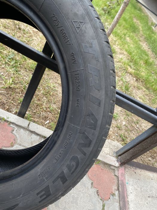 Продам ризины хорошие