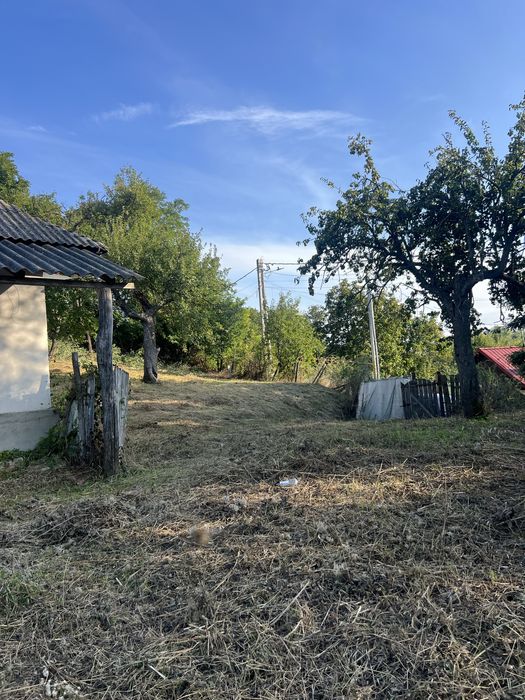Teren intravilan Dobrovat