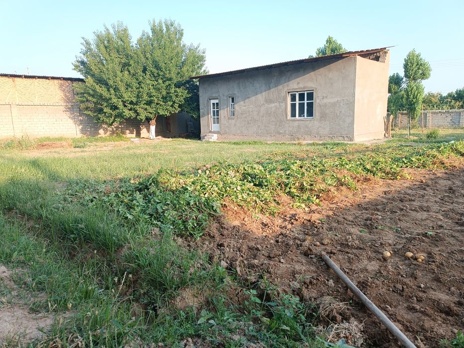 Qibray Chinobodda Yer sotiladi 6 sotix $90 ming (kelishamiz)