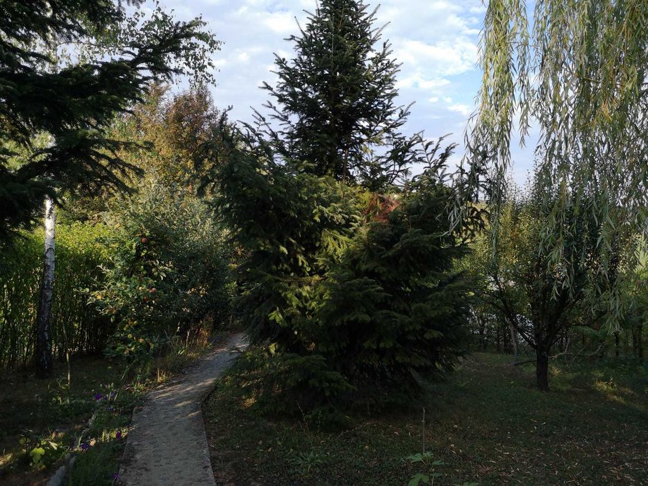 Casa + anexa locuibila + curte, gradina, padure peste 5000 mp