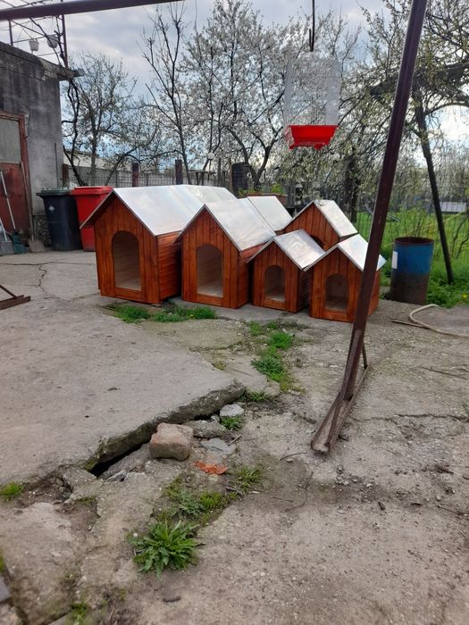 confectionez custi pentru caini