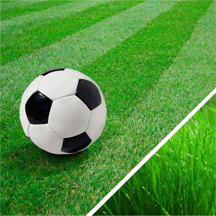 Искусственный газон для футбольных полей от производителя!